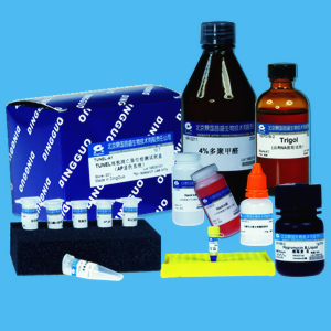 鼎国自产 敏感型SP(兔)试剂盒试剂盒内为浓缩液SP-HRP显色系统